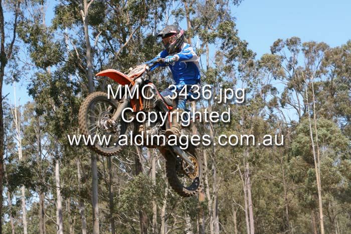 678x444 pixels (102K)